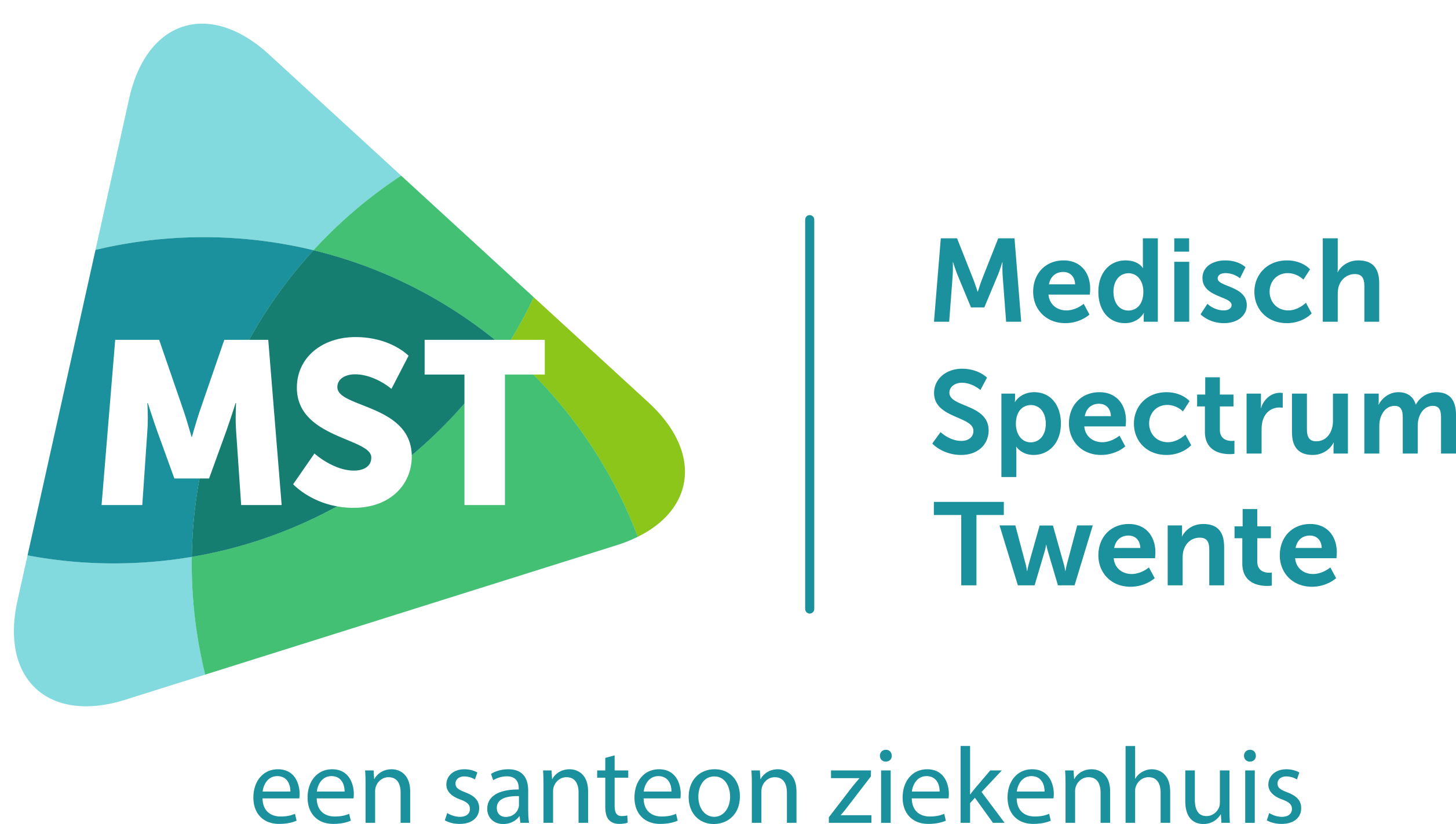 Medisch Spectrum Twente 